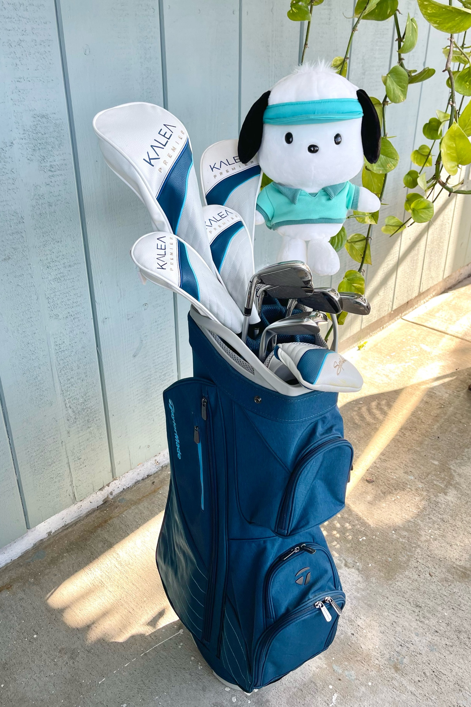 How beautiful is this golf set?! 🏌🏻‍♀️💙

#LTKActive #LTKItBag #LTKFitness