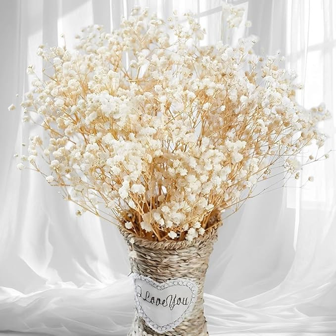 2500+ Dried Babys Breath Flowers Bulk - 17" Ivory White Dried Flower Bouquet, Real Natural Gypsop... | Amazon (US)