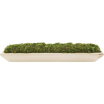 Mud Pie Preserved Moss Paulownia Tray, Natural, 5 3/4" x 25 3/4" | Amazon (US)