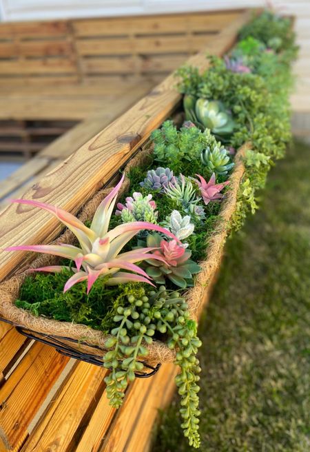 Faux succulent window box decor! Linking everything I used here 👏🏼