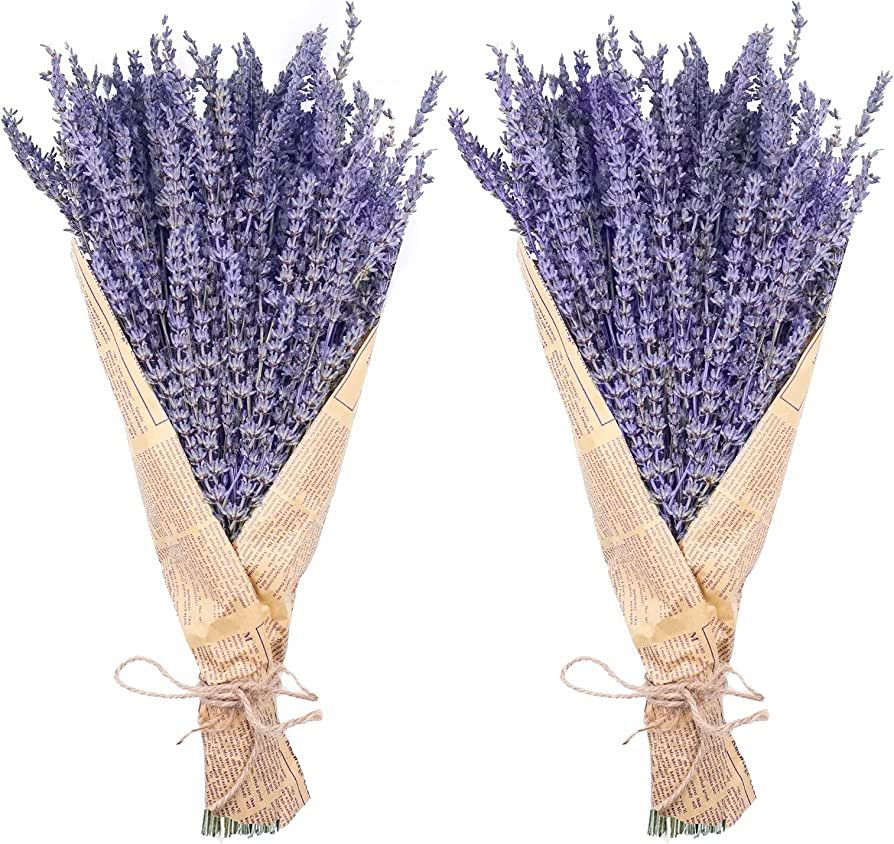 Uieke Dried Lavender Bundles, Natural Dried Lavender Flowers 280-300 Stems 16“ for Home Weedi... | Amazon (US)