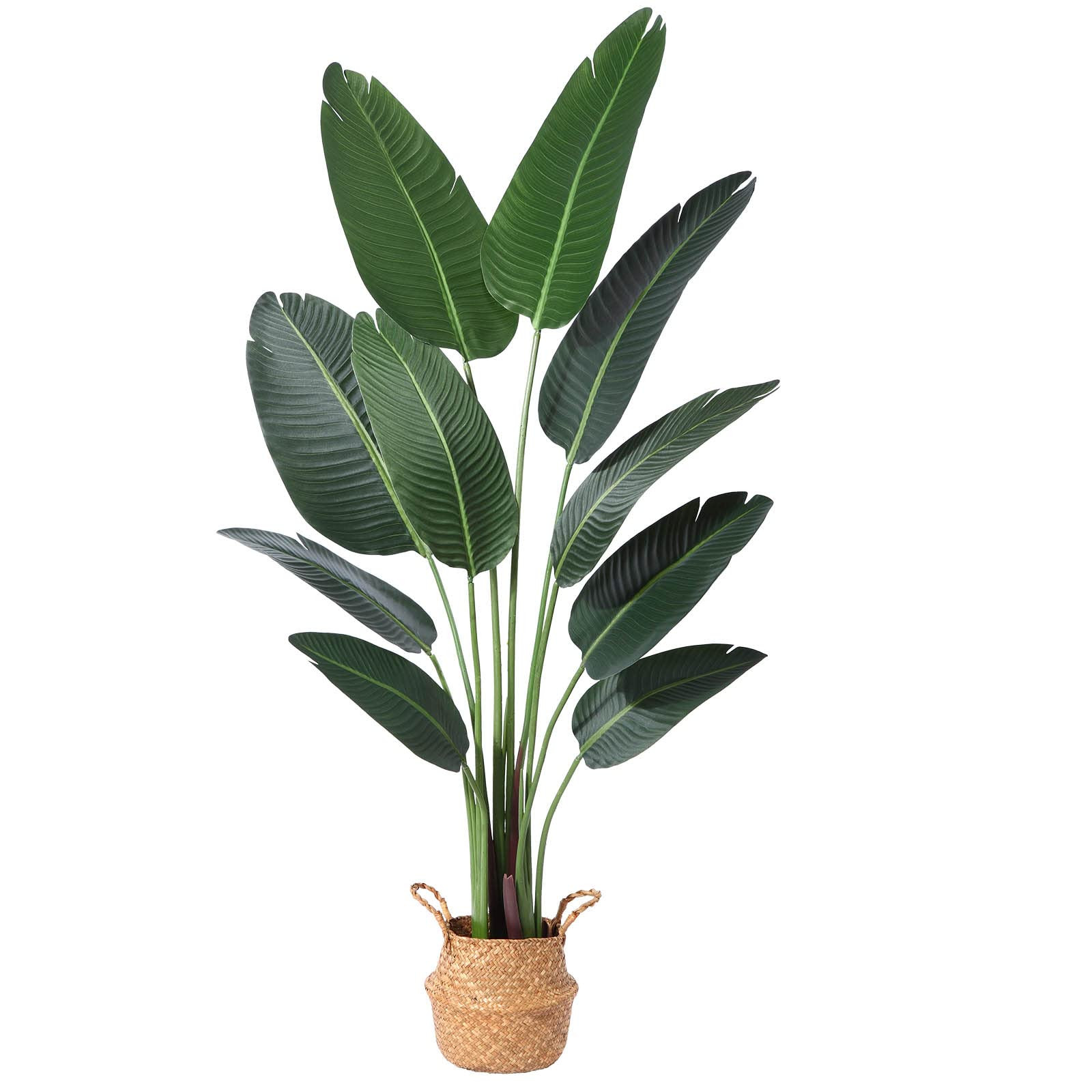 Ferrgoal Artificial Bird of Paradise Plants 5Ft Fake Tropical Palm Tree with 10 Trunks in Pot and... | Amazon (US)