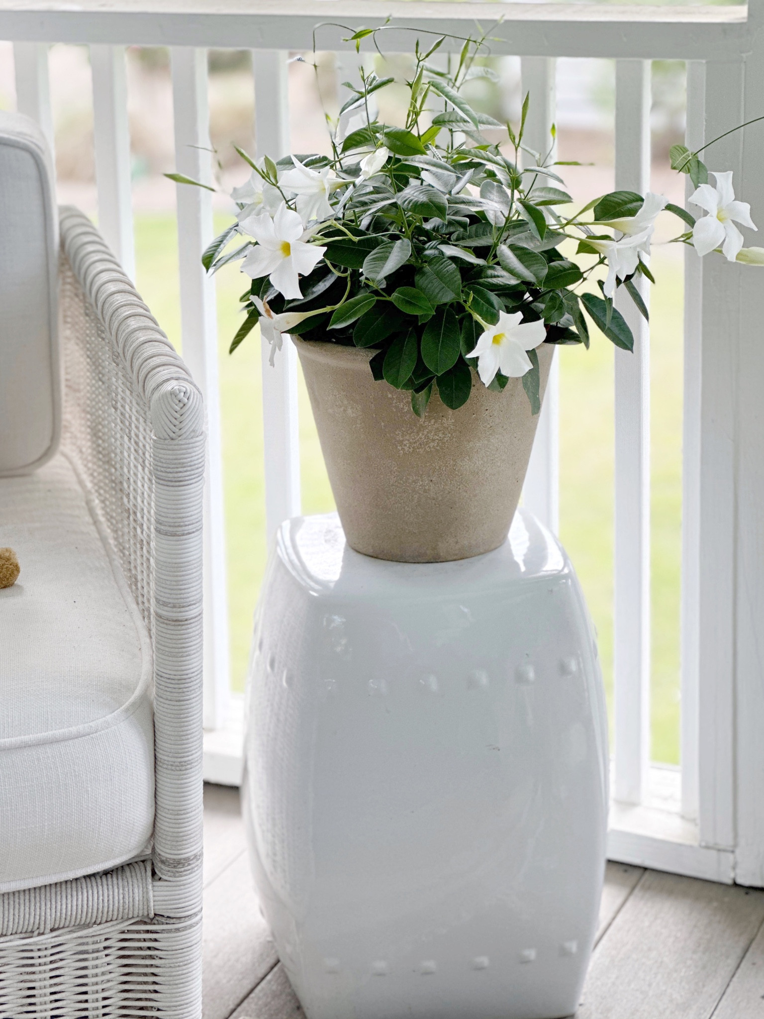 Outdoor porch set up with garden stool and aged terracotta pot, Amazon, garden, planter, outdoor, Walmart 



#LTKSeasonal #LTKhome #LTKunder50