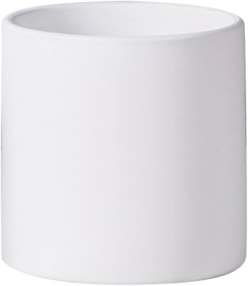 8 Inch Ceramic Plant Pot, Flower Pots for Plants with Drainage Hole, Indoor Planter Pot, White | Amazon (US)