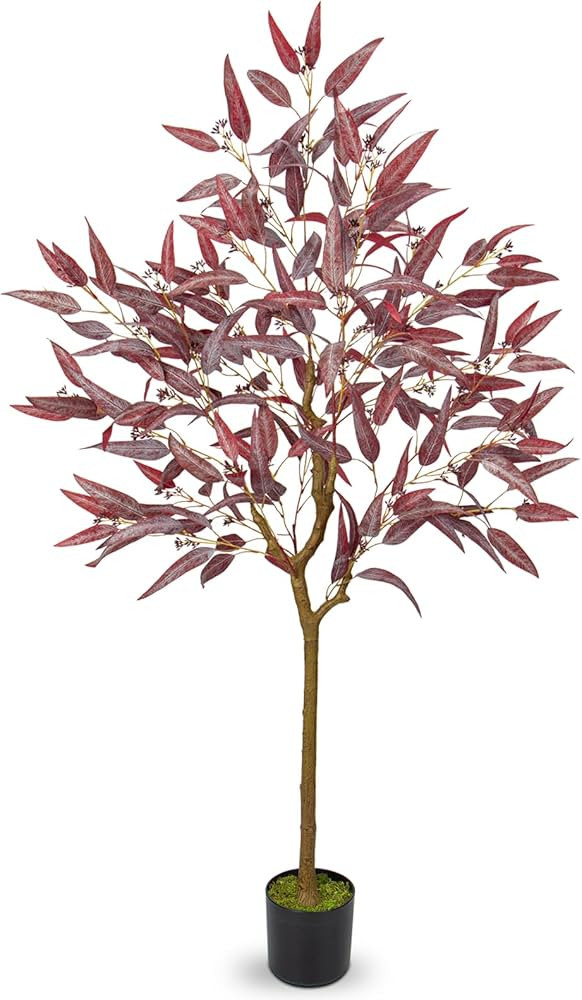 Briful | Amazon (US)