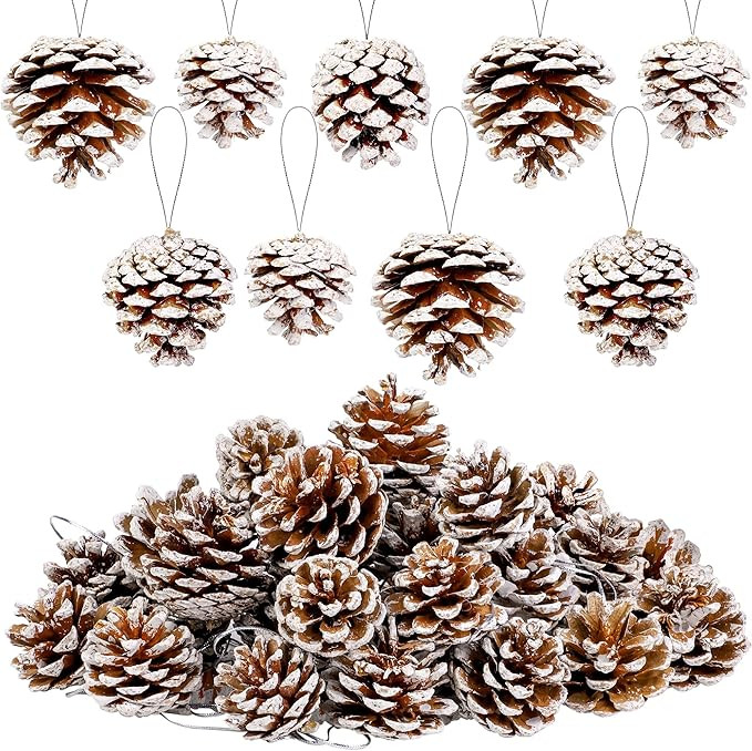 Fovths 30 Pieces 2 Size Christmas Pine Cones with String Mini Rustic Pinecones Bulk Ornaments for... | Amazon (US)
