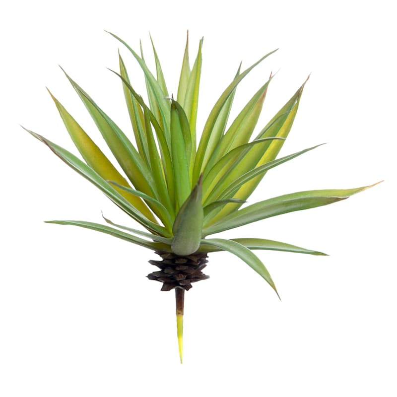 Aloe Plant Pick, 7" | At Home