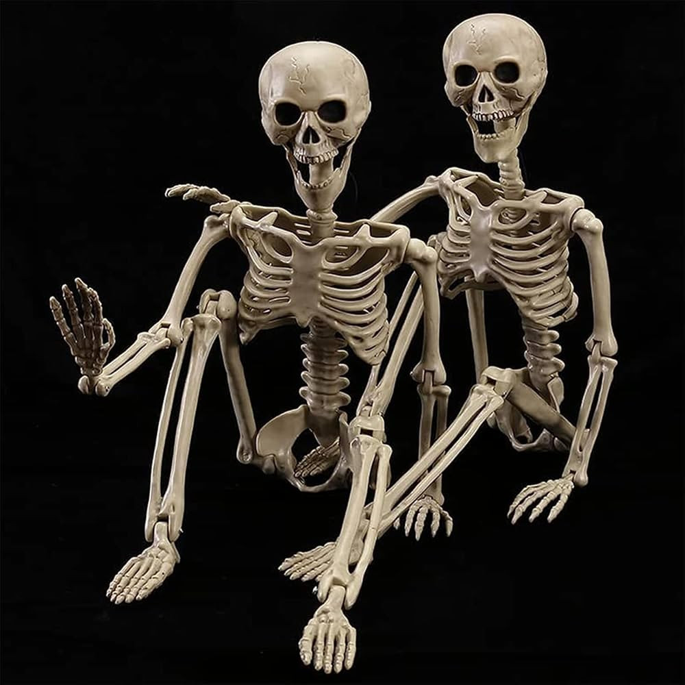 2 Pack 40 Inches Halloween Skeleton Life Size Full Body Realistic Posable Movable Jonints for Hal... | Amazon (US)
