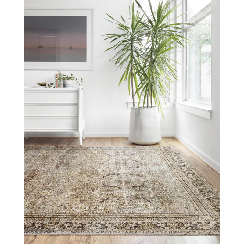 Giacinto Oriental Indoor Rug | Wayfair North America