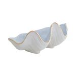 Clam Shell Bowl with 22K Gold Accent | Lo Home by Lauren Haskell Designs