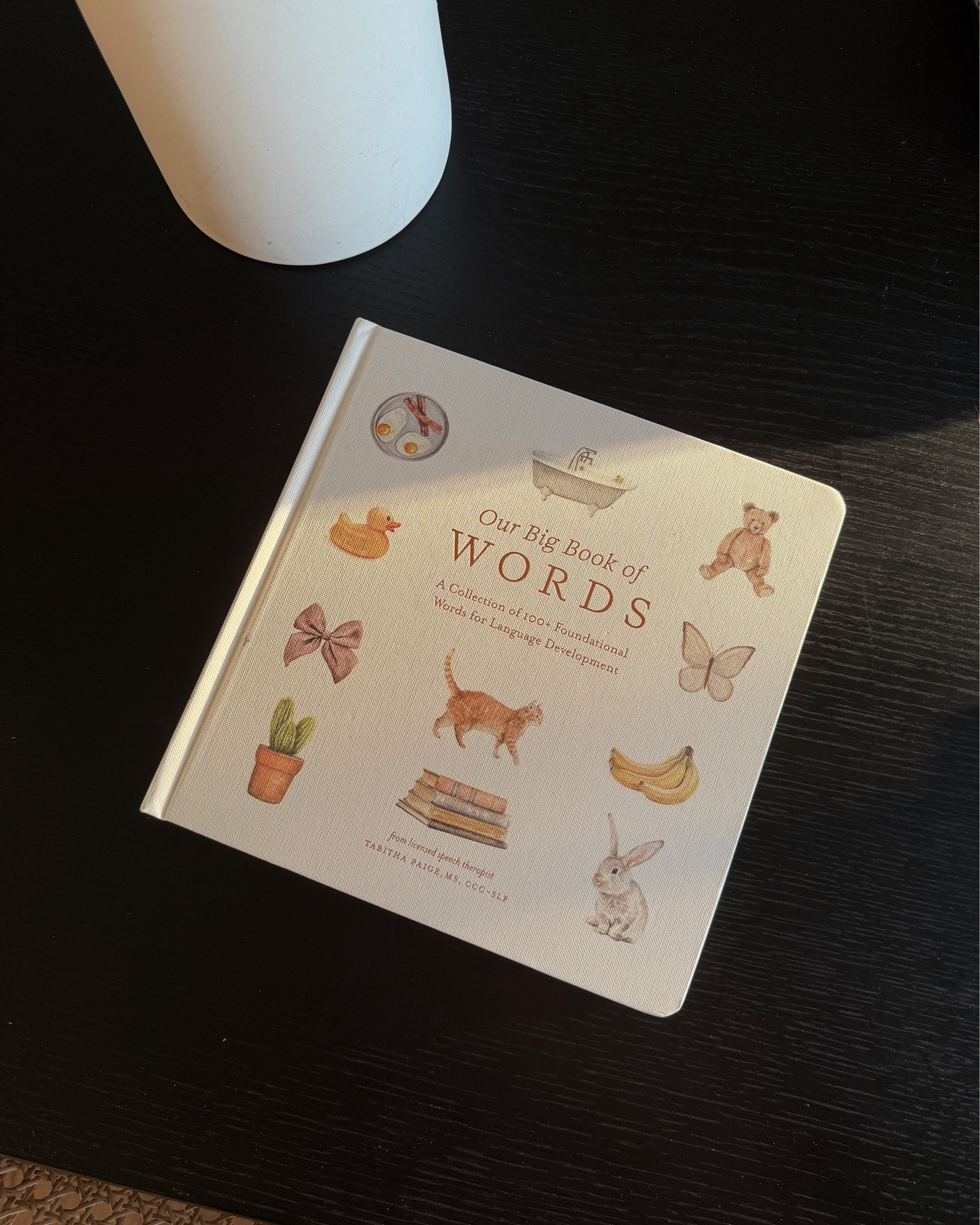 baby’s first words book that is so aesthetic it can double as a coffee table book!!? yes please 

#LTKKids #LTKFindsUnder100 #LTKBaby