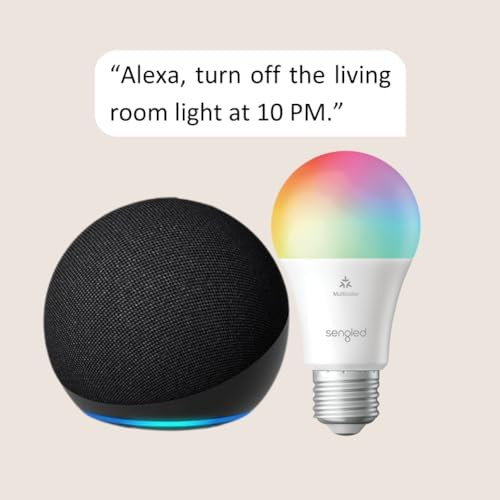 Echo Dot (5th Gen) | Charcoal with Sengled Smart Color Bulb | Amazon (US)