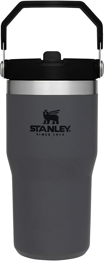 Stanley IceFlow Flip Straw Tumbler with Handle 20 oz | Twist On Lid and Flip Up Straw | Leak Resi... | Amazon (US)