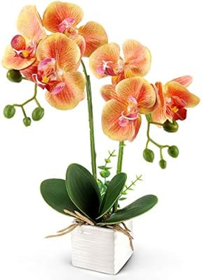 YOBANSA Orchid Bonsai Artificial Flowers with Imitation Porcelain Flower Pots Phalaenopsis Fake F... | Amazon (US)