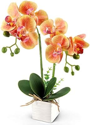 YOBANSA Orchid Bonsai Artificial Flowers with Imitation Porcelain Flower Pots Phalaenopsis Fake F... | Amazon (US)