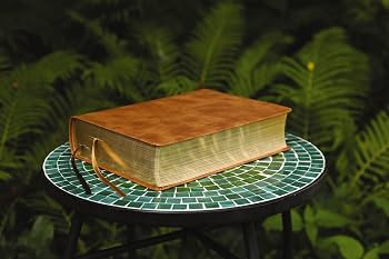 The Jesus Bible, NIV Edition, Leathersoft, Tan, Comfort Print | Amazon (US)
