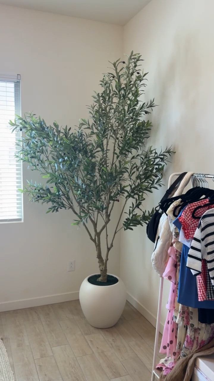 New olive tree - love this one!!!

#LTKHome