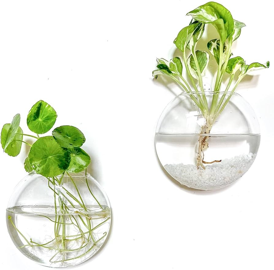 Kingbuy Wall Hanging Glass Planter Propagation Station - 2 Pack Oblate Globe Wall-Mounted Vases f... | Amazon (US)