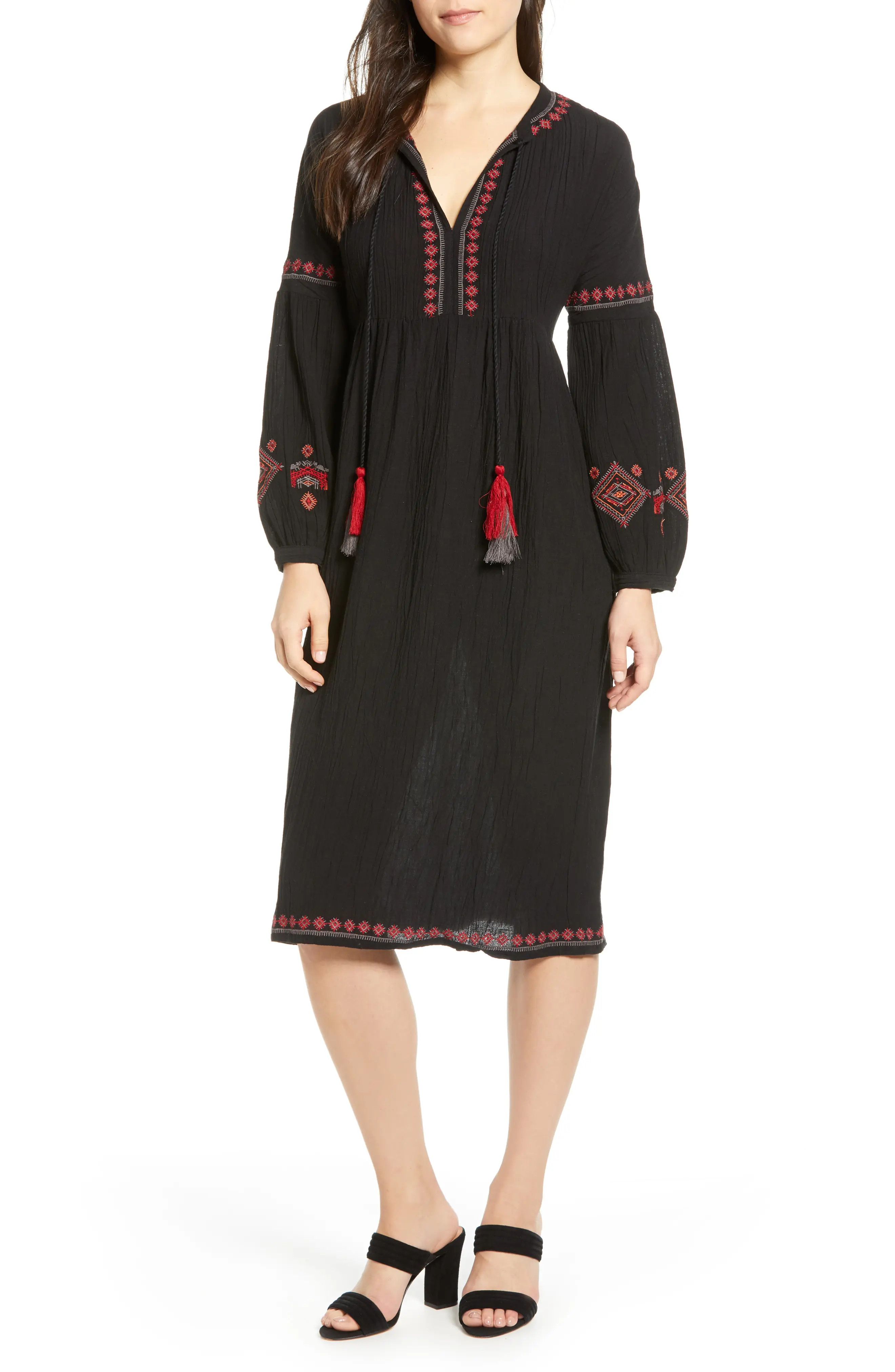Women's Velvet By Graham & Spencer Embroidered Dress | Nordstrom