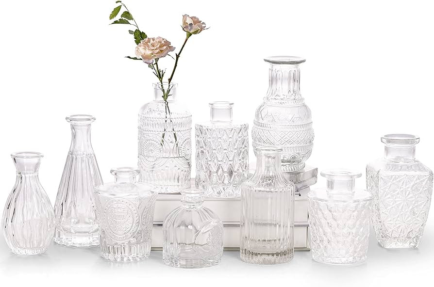 Glass Bud Vase Set of 10 - Small Vases for Flowers, Clear Bud Vases in Bulk, Cute Glass Vases for... | Amazon (US)