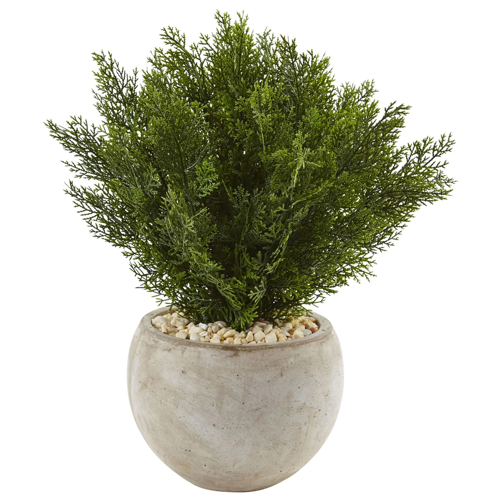 Nearly Natural 2ft. Cedar Artificial Plant in Sand Colored Bowl - Walmart.com | Walmart (US)