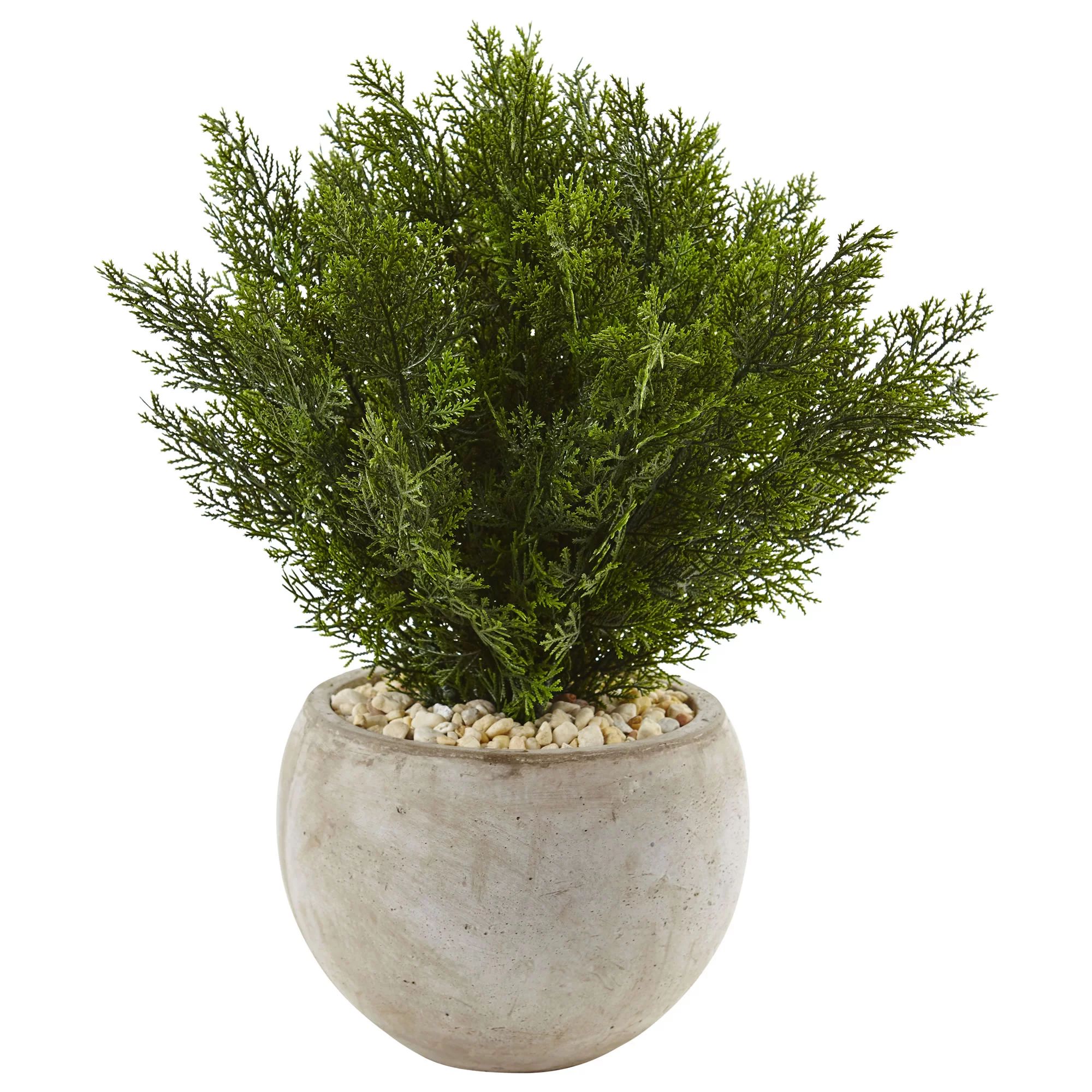 Nearly Natural 2ft. Cedar Artificial Plant in Sand Colored Bowl - Walmart.com | Walmart (US)