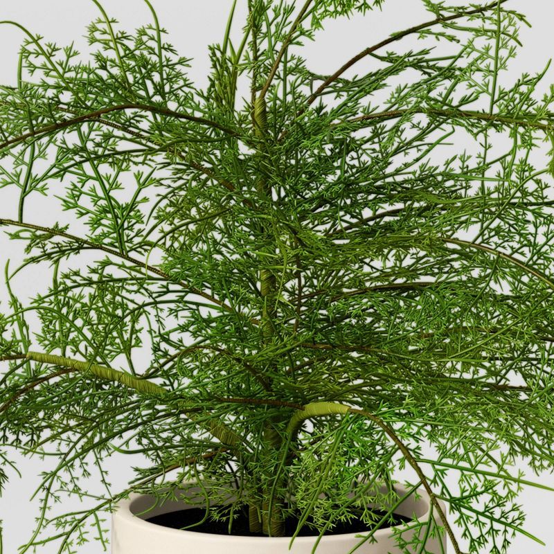 Large Asparagus Artificial Fern Leaf in Pot - Threshold™ | Target