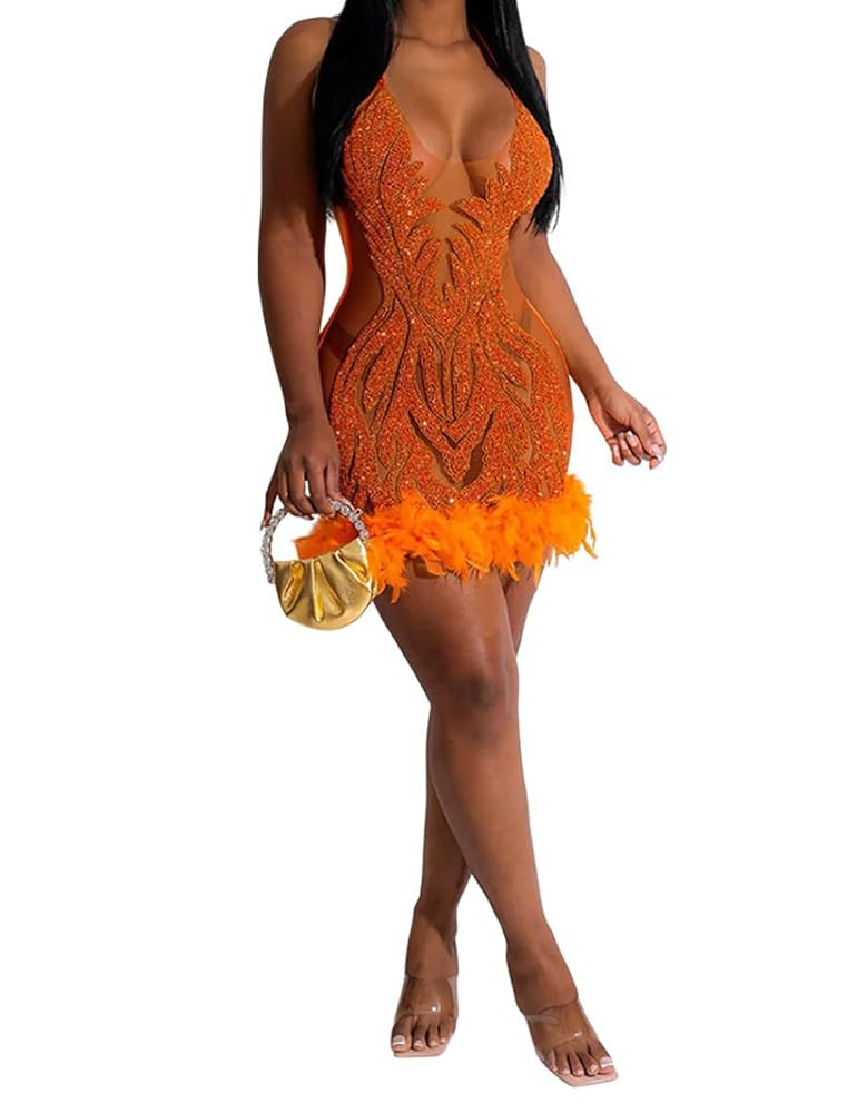 WOKANSE Birthday Dresses for Women Sexy Sleeveless Sequin Mesh Dress Feather Dress Outfit Amazon | Amazon (US)