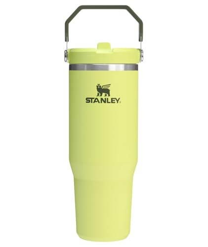 Stanley IceFlow 2.0 Flip Straw Tumbler with Handle 30 oz | Twist On Lid and Flip Up Straw | Leakproof Water Bottle | Insulated Stainless Steel | BPA-Free | Prickly Pear | Amazon (US)