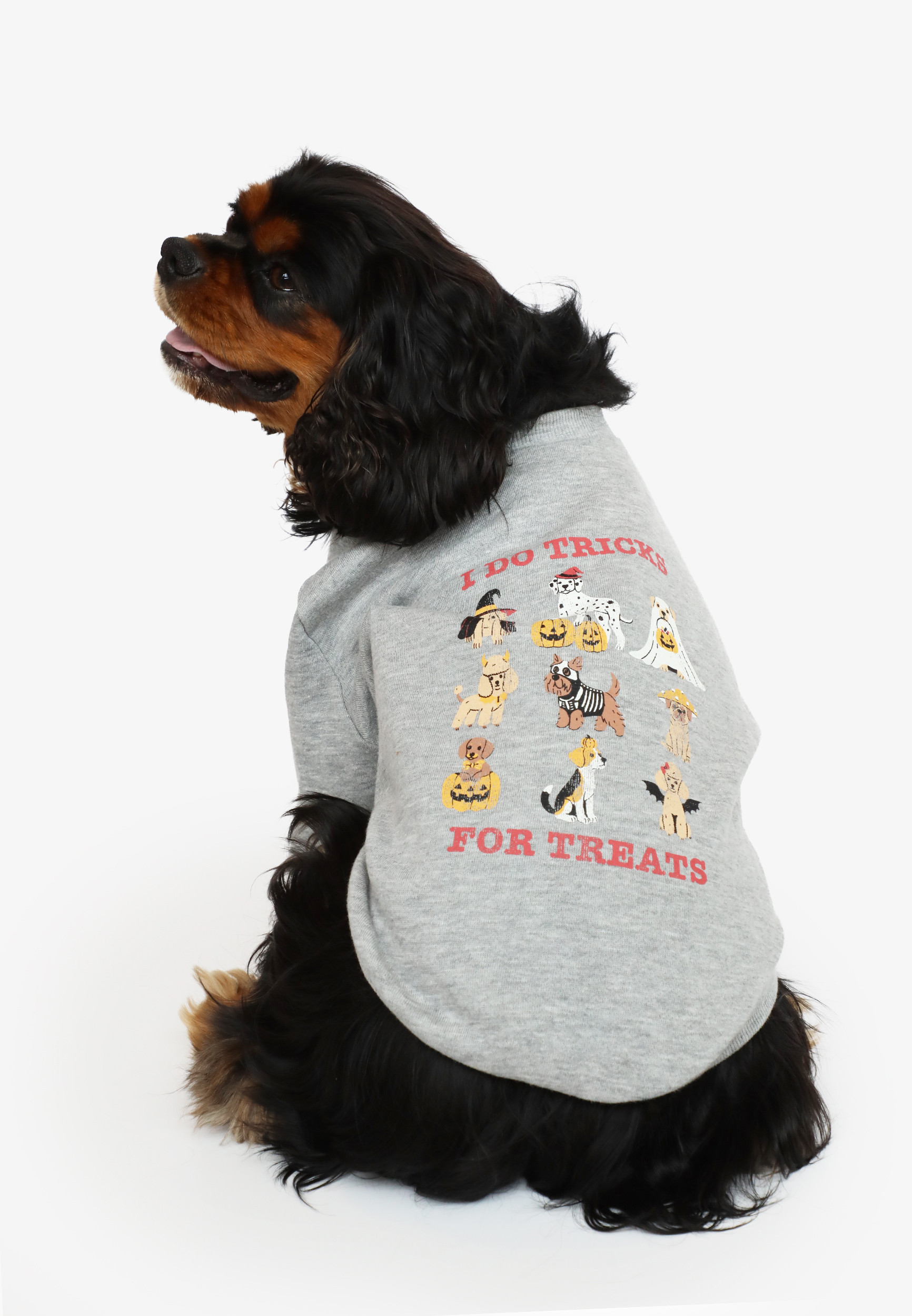 I Do Tricks For Treats Pet Tee | Maurices