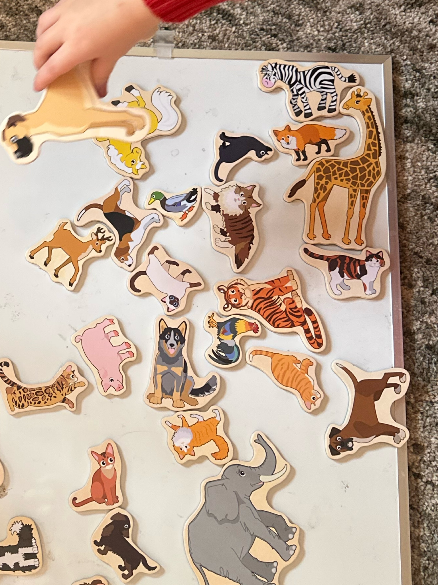 Loving this animal magnets from Amazon! They are educational and my toddler’s love them and stay entertained for a long time!

#LTKKids #LTKBaby #LTKGiftGuide