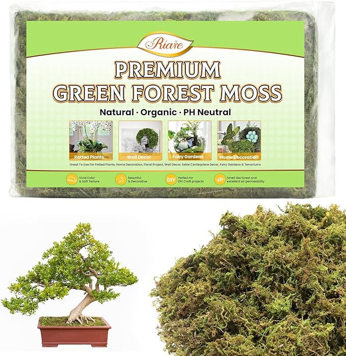 Riare 7OZ Artificial Fake Moss for Fake Plants Indoor- Premium Faux Craft Moss for Potted Plant, ... | Amazon (US)