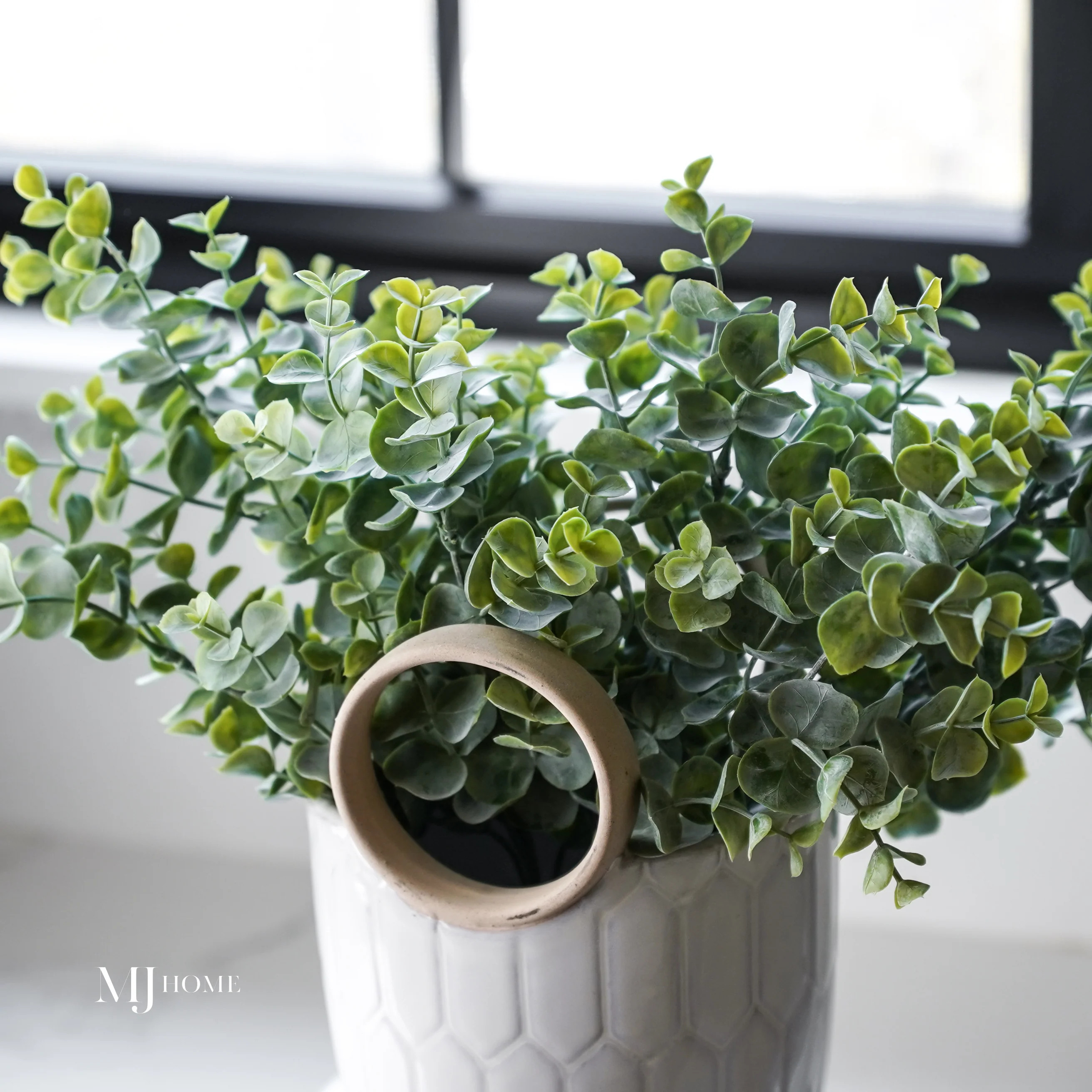 Powdered Eucalyptus Bush | MJHome