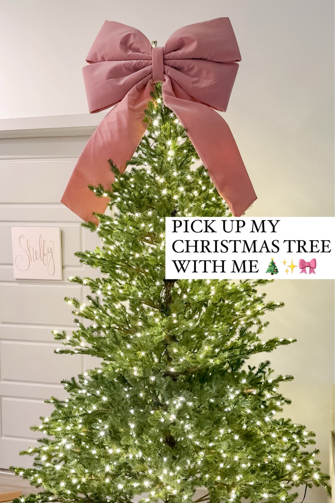 Links to the new viral Christmas tree on the block! 

This one has warmer toned lights which is exactly what I wanted!

Setup is incredibly easy, the quality is impeccable and the twinkling lights are adorable! 

Comes with a remote with a timer and a few different light settings 

#LTKSeasonal #LTKHoliday #LTKHome