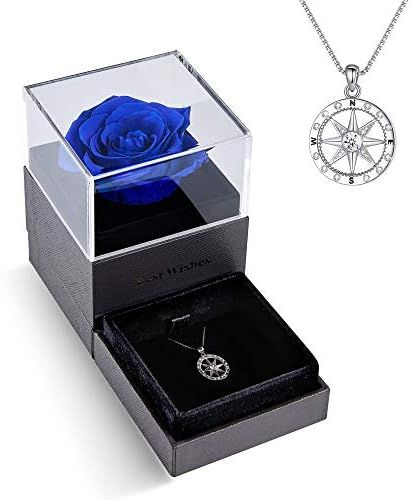 EleShow Preserved Real Rose with I'd be Lost Without You Commpass Necklace Gift, Enchanted Real R... | Amazon (US)