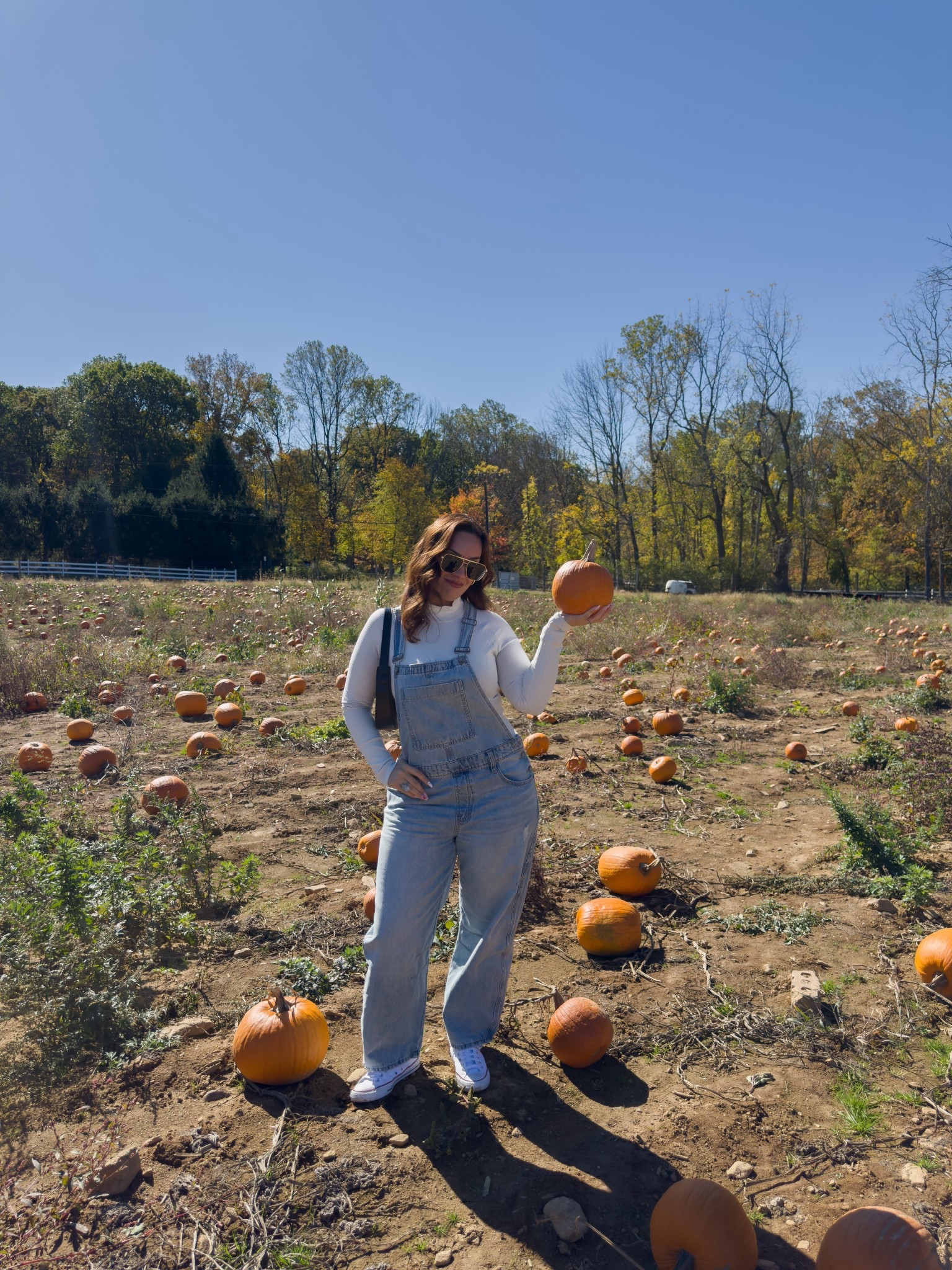 Fall fashion, fall style, fall outfits, fall outfit ideas, fall outfit Inspo, autumn fashion, autumn outfits, casual style, casual outfits, minimal style, overalls style, fall aesthetic, outfit ideas, outfit Inspo, simple fits, everyday outfit, effortless style, capsule wardrobe, timeless style, daily outfit Inspo, denim overalls, midsize fashion, midsize style, affordable fashion, Amazon fashion, Amazon fashion finds, white sneakers, converse sneakers, Vici style, VICI outfits, farmers outfit, pumpkin patch outfits, pumpkin patch outfit ideas. 

#LTKU #LTKMidsize #LTKStyleTip