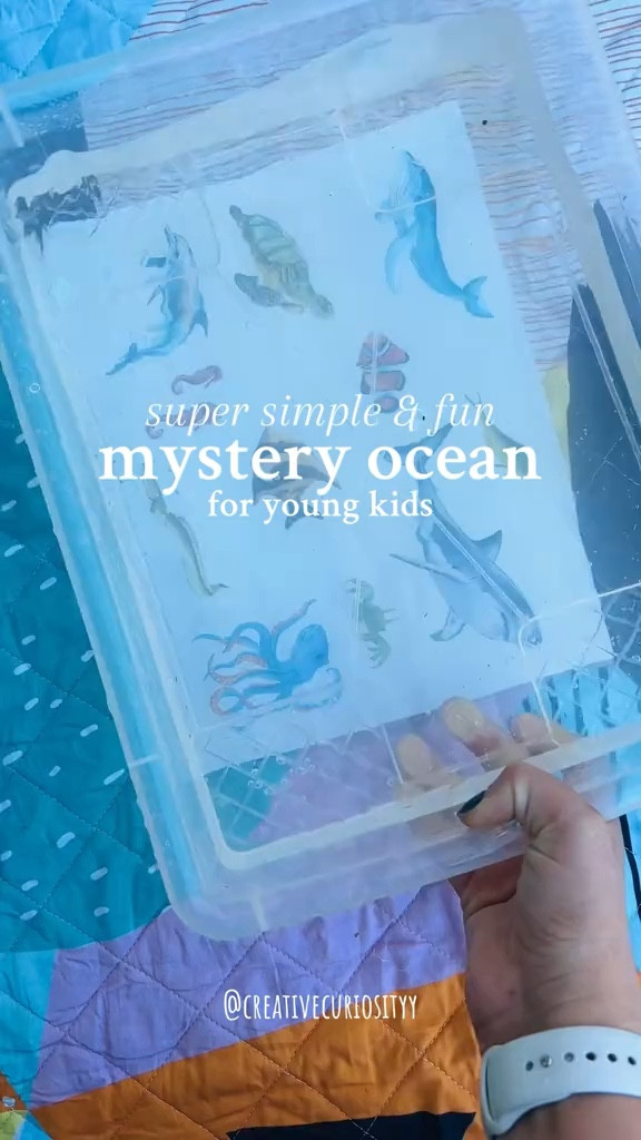 Mystery Ocean Animal Find

#LTKFamily #LTKKids