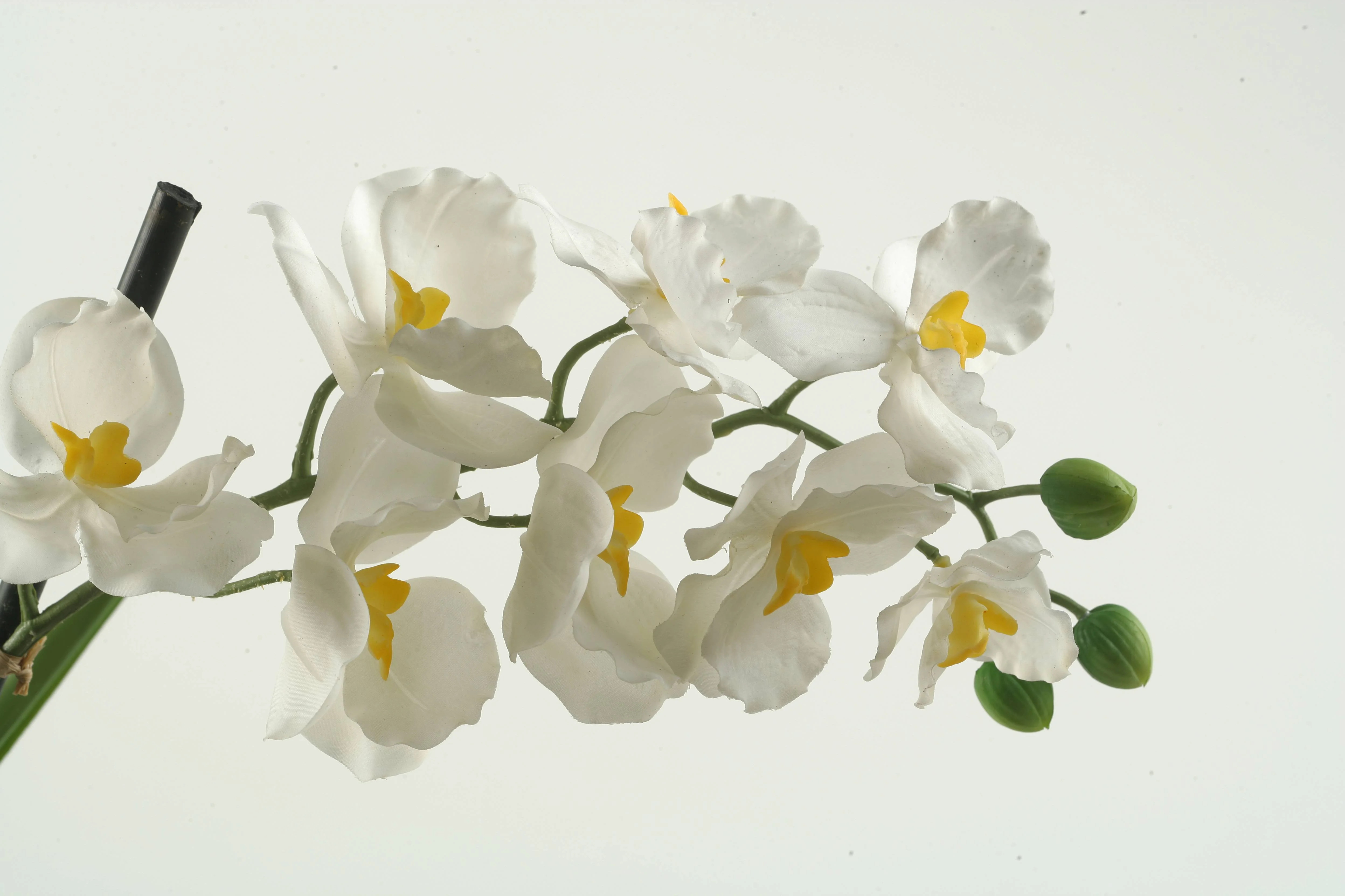 D&W Silks - Cream Vanda Orchid Stem - Set of 3 | Walmart (US)