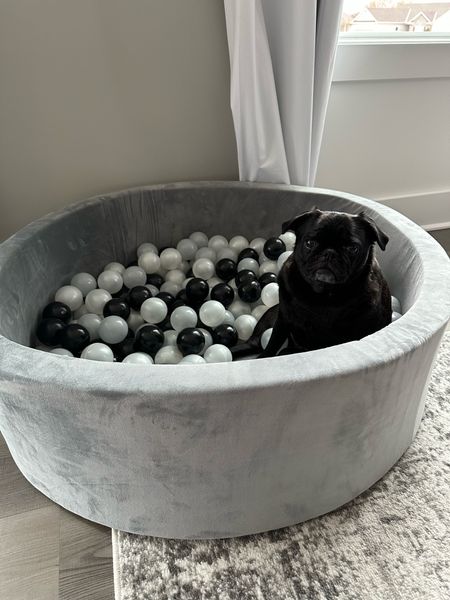 Even a pug likes o relax in a ball put sometimes 😂 Beckham doesn’t actually relax in his ball pit so much as he prefers to hang over the side and toss balls out of it. Whatever works for a happy kiddo! 

#LTKFind #LTKunder100 #LTKkids