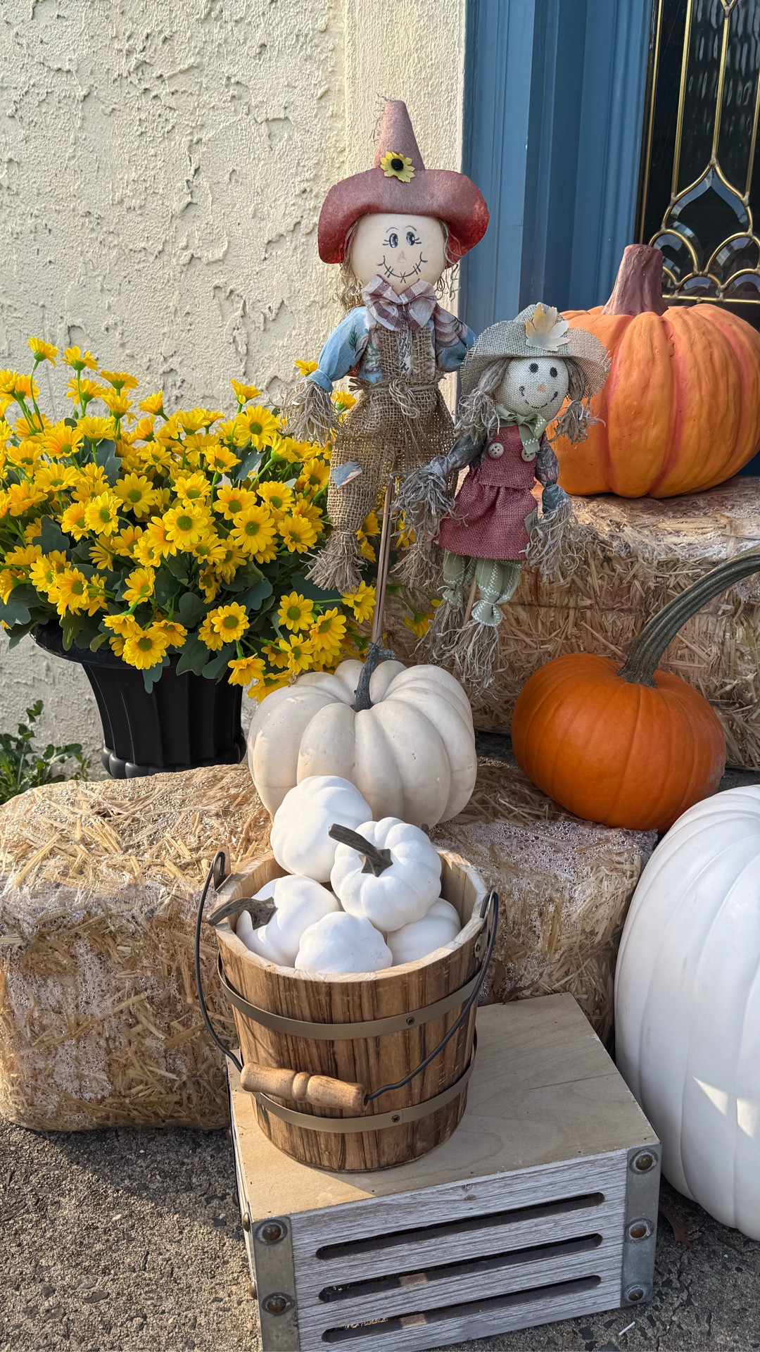 Bring those cheerful fall vibes to your porch without the upkeep. These vibrant yellow mums are faux but look so real! Perfect for outdoor planters, front doors, or cozy corners. 🌻🌼

#LTKHome #LTKFindsUnder50 #LTKStyleTip