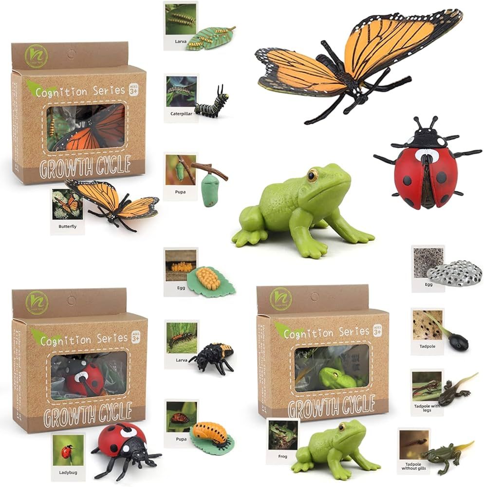 Montessori Life Cycle Learning & Education Toys, Plastic Insect Ladybug Monarch Butterfly Tadpole... | Amazon (US)
