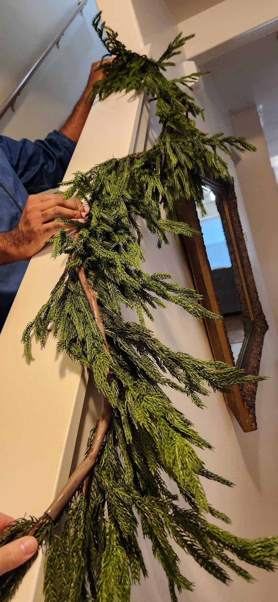 Visit the VIERENA Store | Amazon (US)