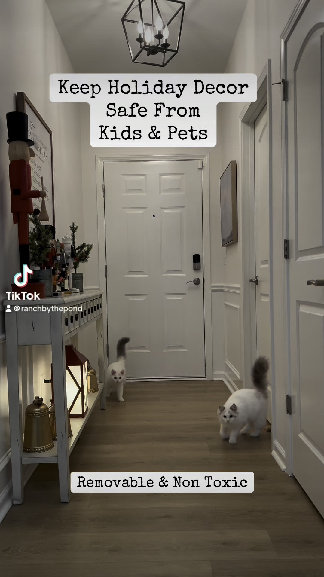 
Protect your holiday decor from curious kids and playful pets with Museum Wax! Perfect for keeping your favorite pieces securely in place, this museum-grade wax is an essential for a safe, beautiful home this season. Available on Amazon!”


#MuseumWax #LTKHoliday #LTKHome #PetProofDecor #KidSafeHome #HolidayDecor #HomeSafety #DecorProtection #HomeEssentials #HolidayHacks #AmazonHomeFinds #LTKUnder50 #LTKFind
