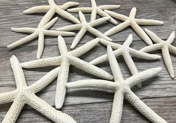 Real Starfish Decor - 10 White Real Finger Star Fish 6-8 Inch - Starfish for Crafts - White Starf... | Amazon (US)
