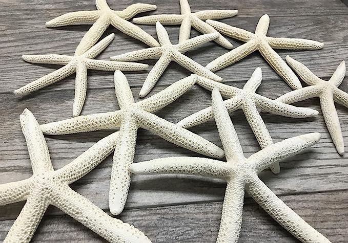 Starfish Decor - 10 White Finger Star Fish 6-8 Inch - Starfish for Crafts - White Starfish Wall D... | Amazon (US)