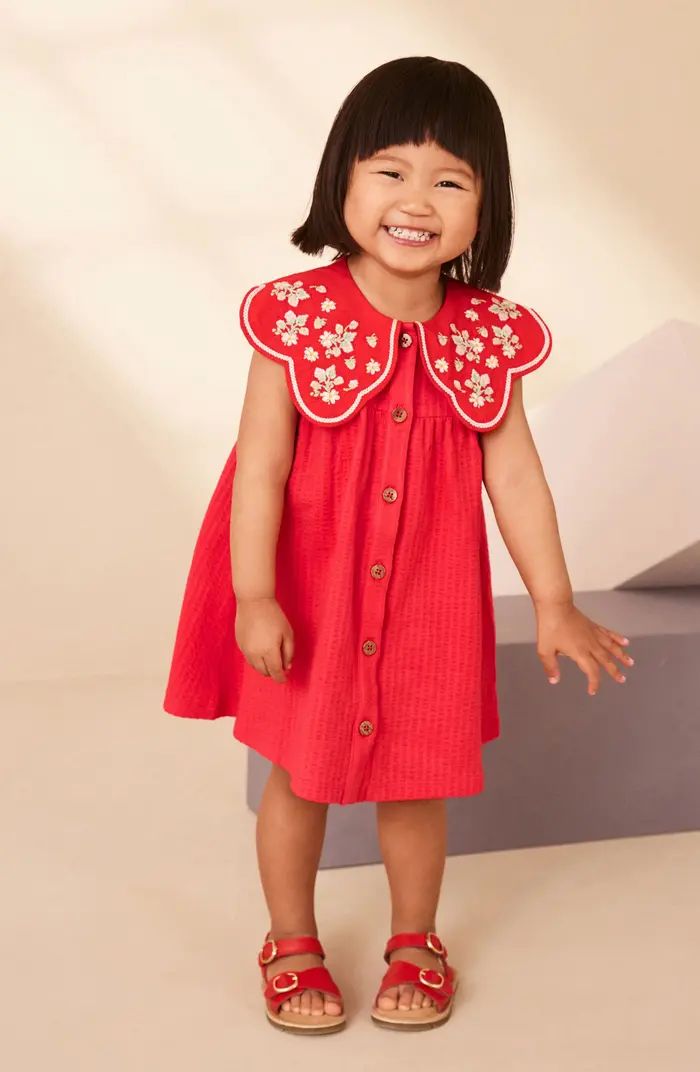 Kids' Embroidered Collar Cotton Dress | Nordstrom