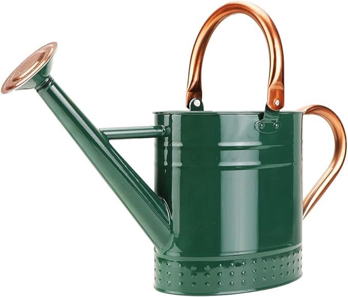 1 Gallon Metal Watering Can with Removable Spout, Nice Galvanized Steel Water Can with Embossed D... | Amazon (US)