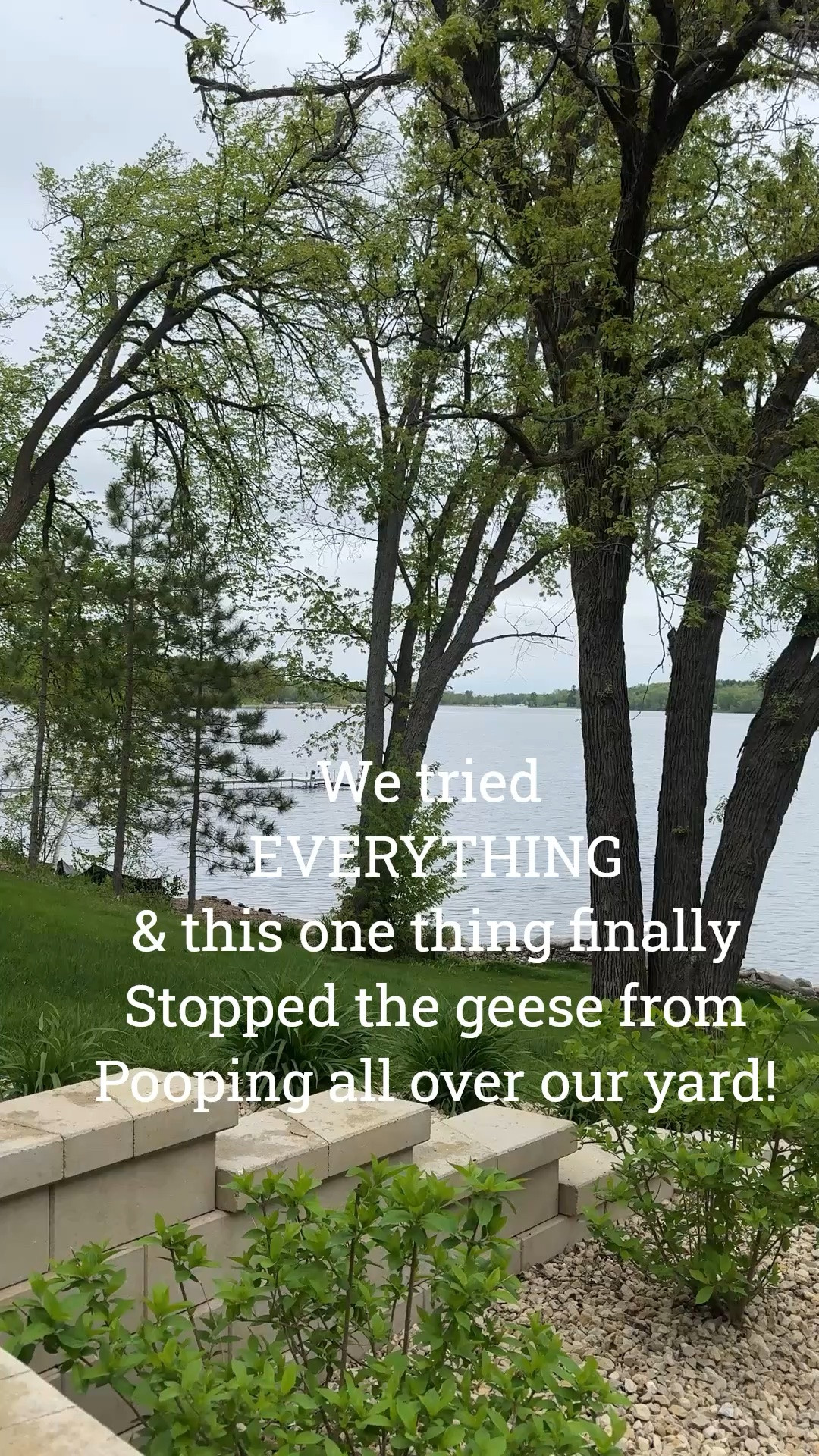 We tried it ALL! The geese were so bad we debated selling the lake house till we found this one thing! Since we set it up a year ago NOT ONE goose has stepped foot in our yard or taken a dump on the dock!

#LTKHome #LTKSeasonal