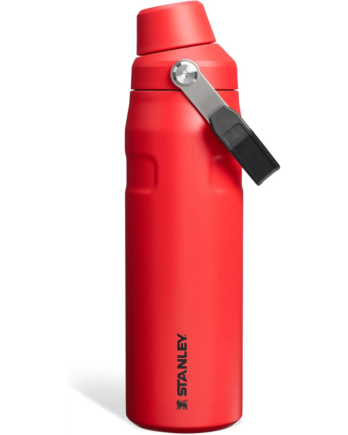 STANLEY Iceflow™ Bottle With Fast Flow Lid 24oz | Zappos.com