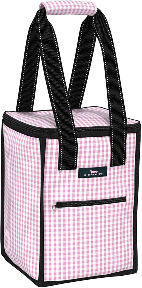 SCOUT Pleasure Chest - Soft, Lightweight, Insulated Cooler, Fits 5 Wine Bottles, Cooler for Beach... | Amazon (US)